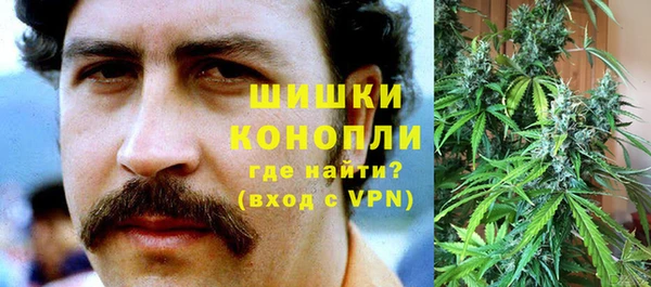 spice Ельня