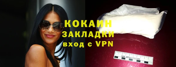 мдпв Елабуга