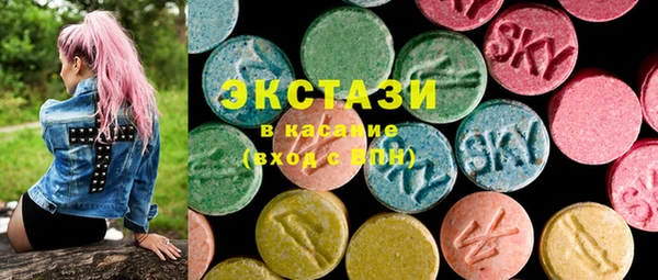 мдпв Елабуга