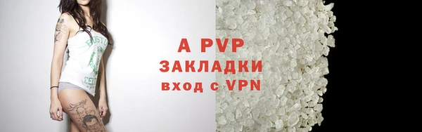мдпв Елабуга