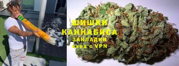spice Ельня