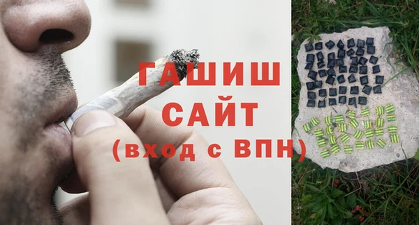 spice Ельня