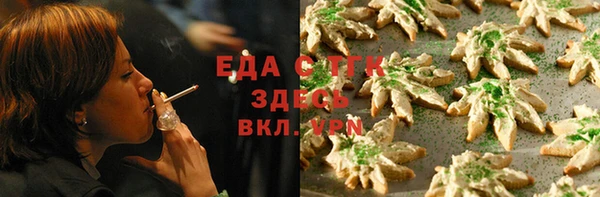 мдпв Елабуга