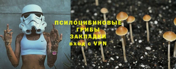 бошки Осинники