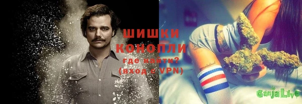 мдпв Елабуга