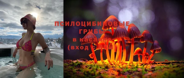 мдпв Елабуга