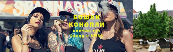 мдпв Елабуга
