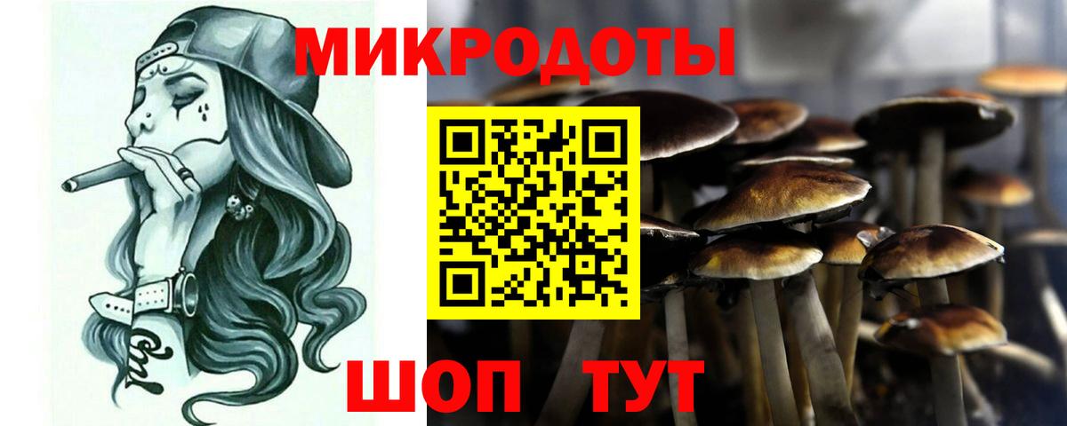 Псилоцибиновые грибы Psilocybine cubensis  Вход с VPN  Саяногорск  Псилоцибиновые грибы ЛСД 
